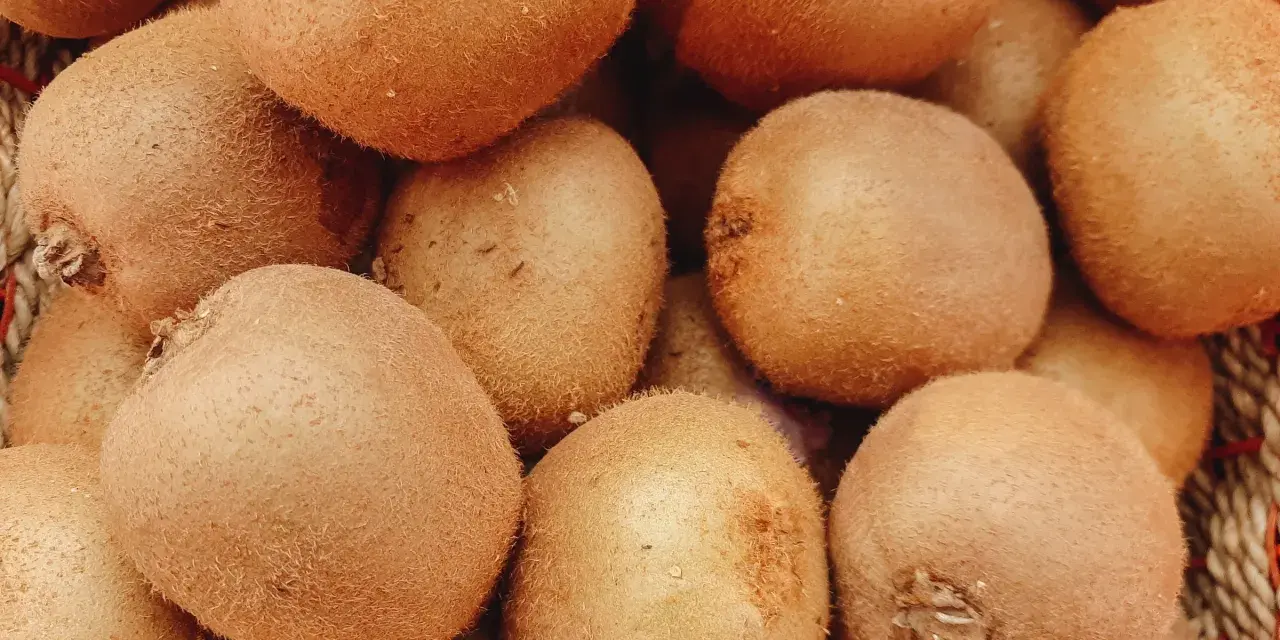 Kaloryczność kiwi: 46 kcal! Odchudzanie, odporność, lepszy sen.