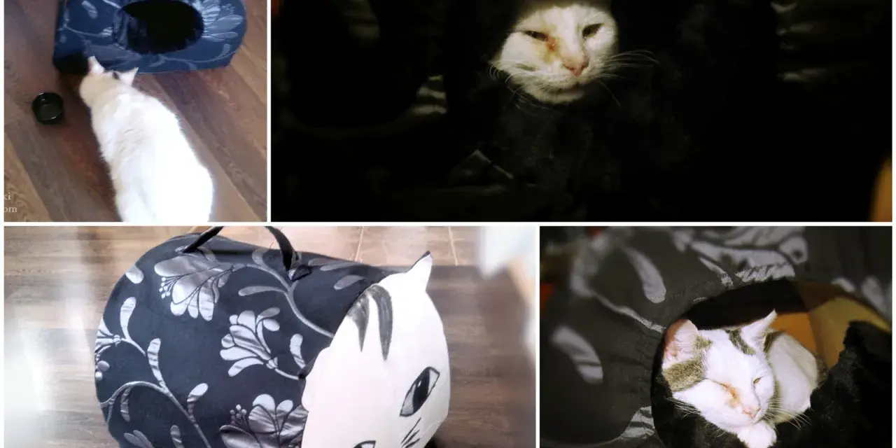 Jak zbudować domek dla kota? DIY: ciepły azyl krok po kroku