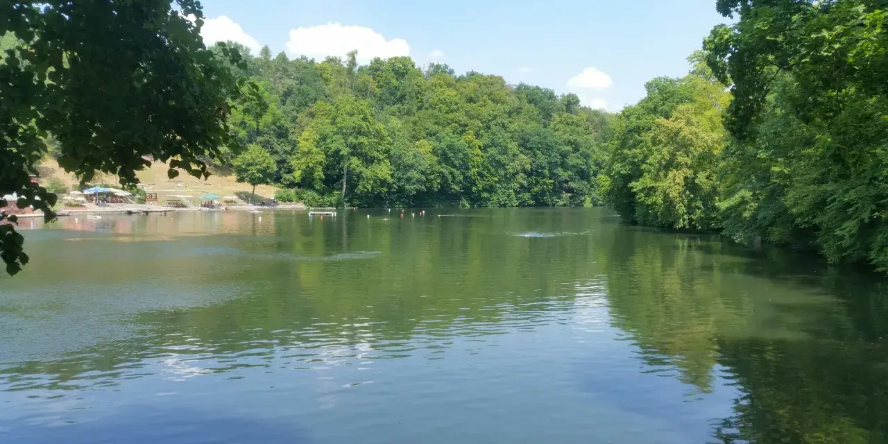 Ein sonniger Tag am Badesee Pforzheim. Grüne Bäume säumen das Ufer, während einige Schwimmer im Wasser ihre Bahnen ziehen.