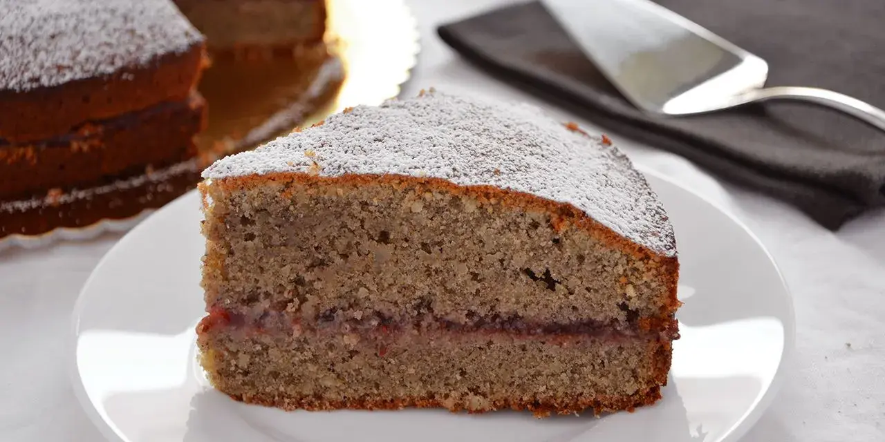Una fetta di torta grano saraceno trentino, con marmellata e zucchero a velo, su un piatto bianco.