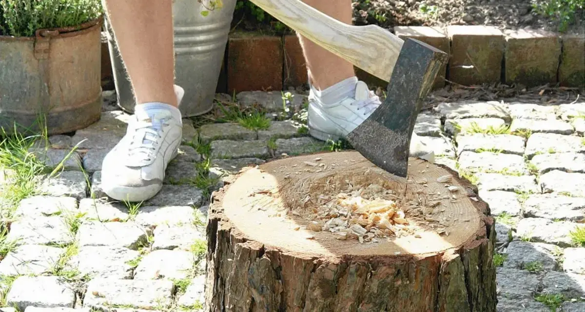 Kwietnik z pnia drzewa: Zrób to sam! Poradnik na lata