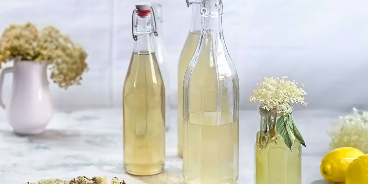 Flaschen mit hellem Holunderblütensirup, bereit zum Holunderschnaps ansetzen. Getrocknete Blüten, Zitronenscheiben und frische Blüten zieren die Szene.