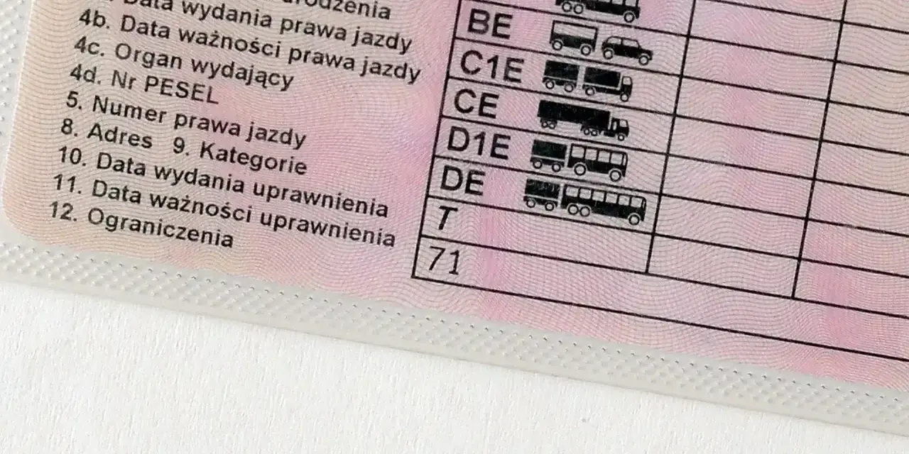Fragment polskiego prawa jazdy z widocznymi kategoriami pojazdów i polem "Ograniczenia" z wpisaną cyfrą 71.