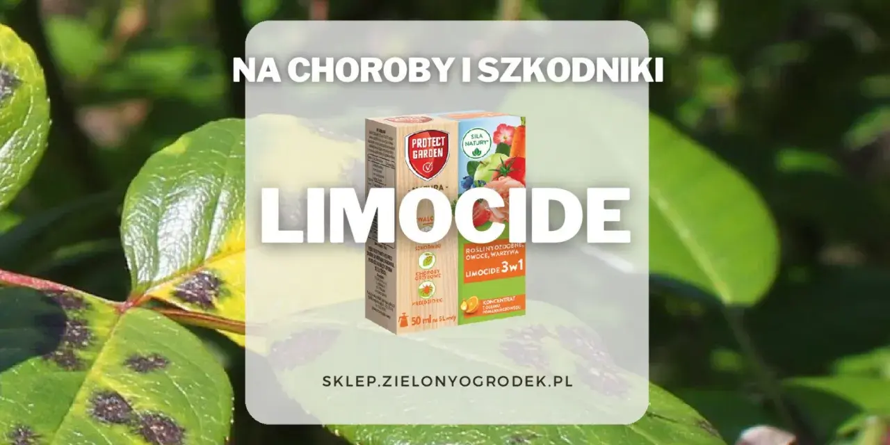 Pudełko środka Limocide na tle liści z plamami chorobowymi.