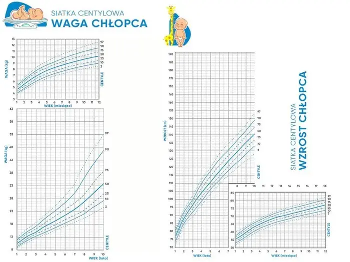 Waga 11-latka: Normy, siatki centylowe i BMI. Sprawdź, czy Twoje dziecko jest w normie.