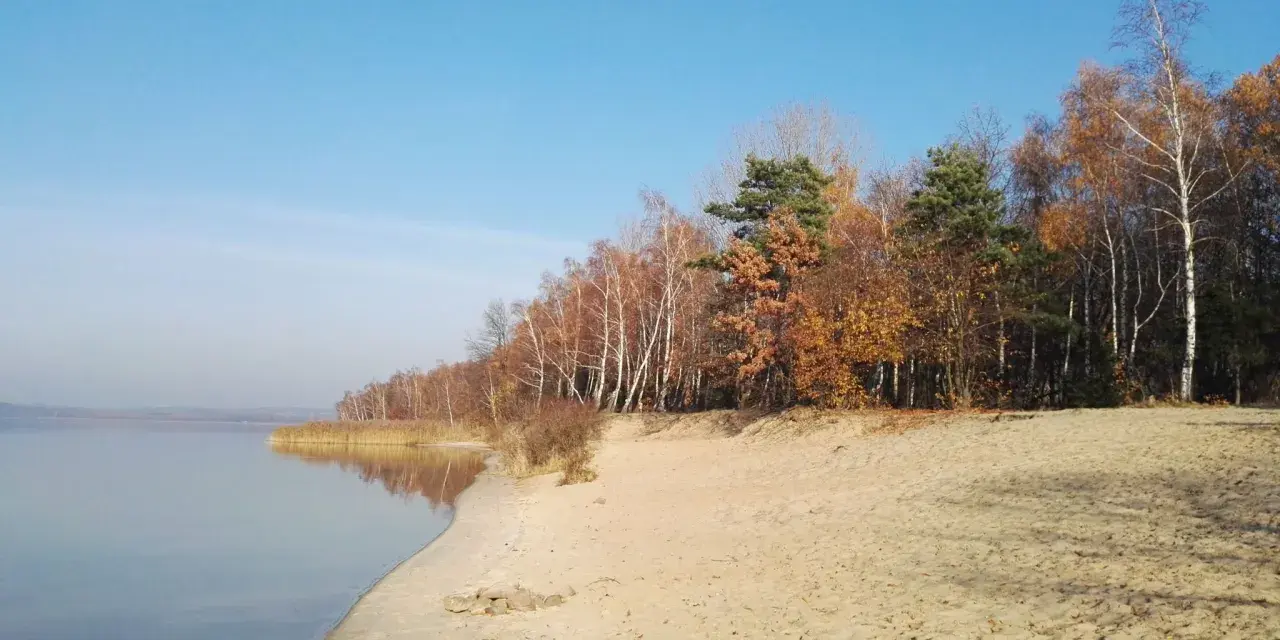 Piękna plaża i las nad jeziorem, idealne na spacer. Odkryj fajne miejsca w okolicach Oświęcimia.
