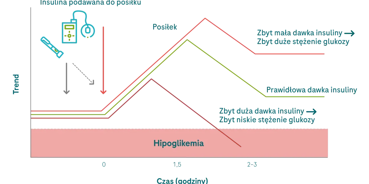 Wykres pokazuje krzywą insulinową po posiłku. Prawidłowa dawka insuliny utrzymuje glukozę w normie, zbyt mała powoduje hiperglikemię, a zbyt duża hipoglikemię.