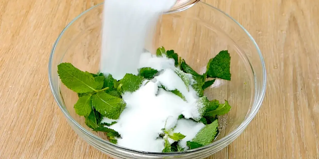 Zucchero bianco viene versato su foglie di menta fresca in una ciotola di vetro, per preparare uno sciroppo di menta fatto in casa.