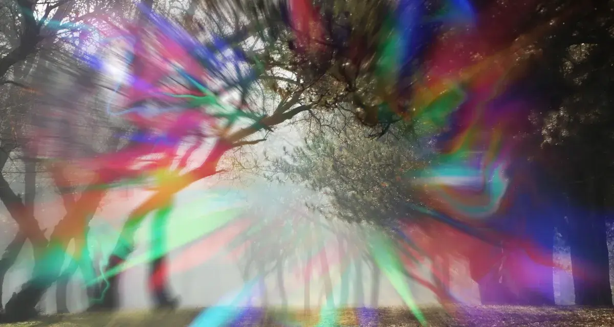 Un bosco nebbioso con alberi stilizzati, illuminato da un'esplosione di colori vibranti che sembrano un'aura occhi.