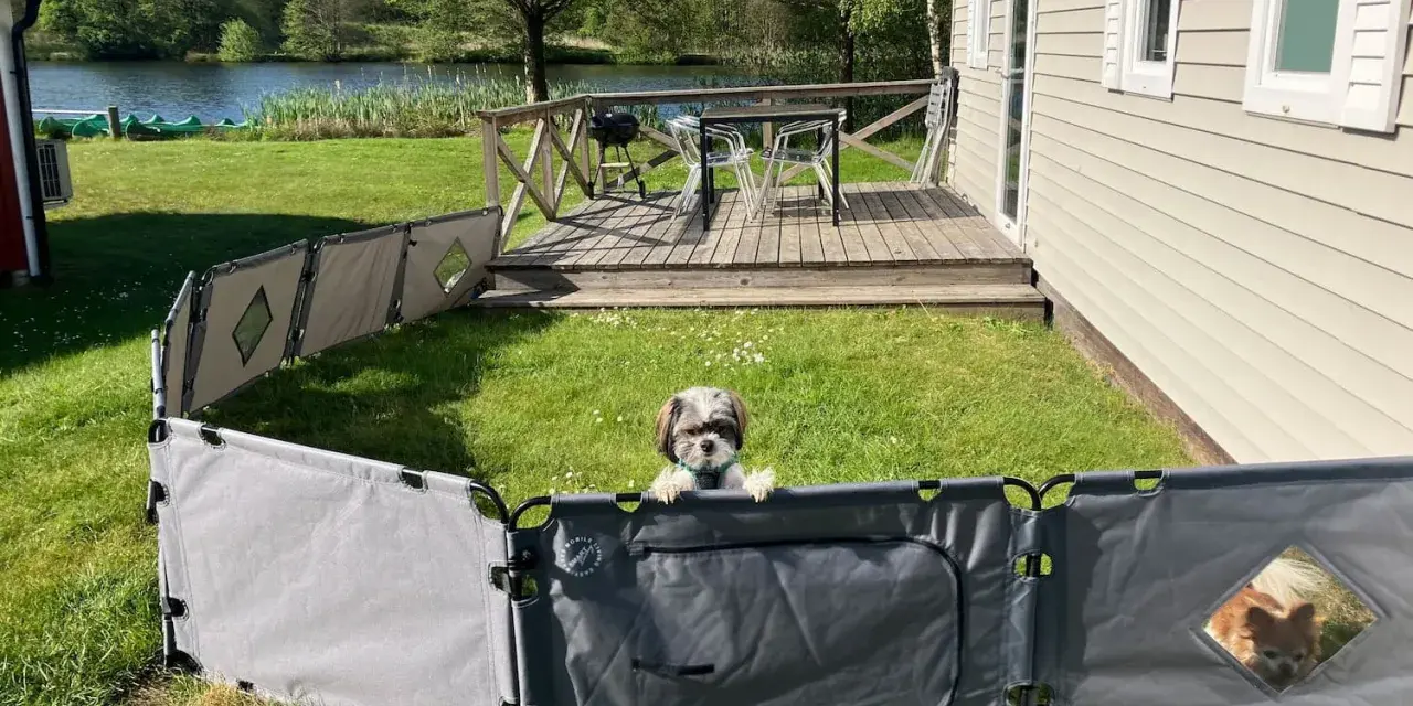 En söt hund vaktar sin campingstuga vid en sjö.