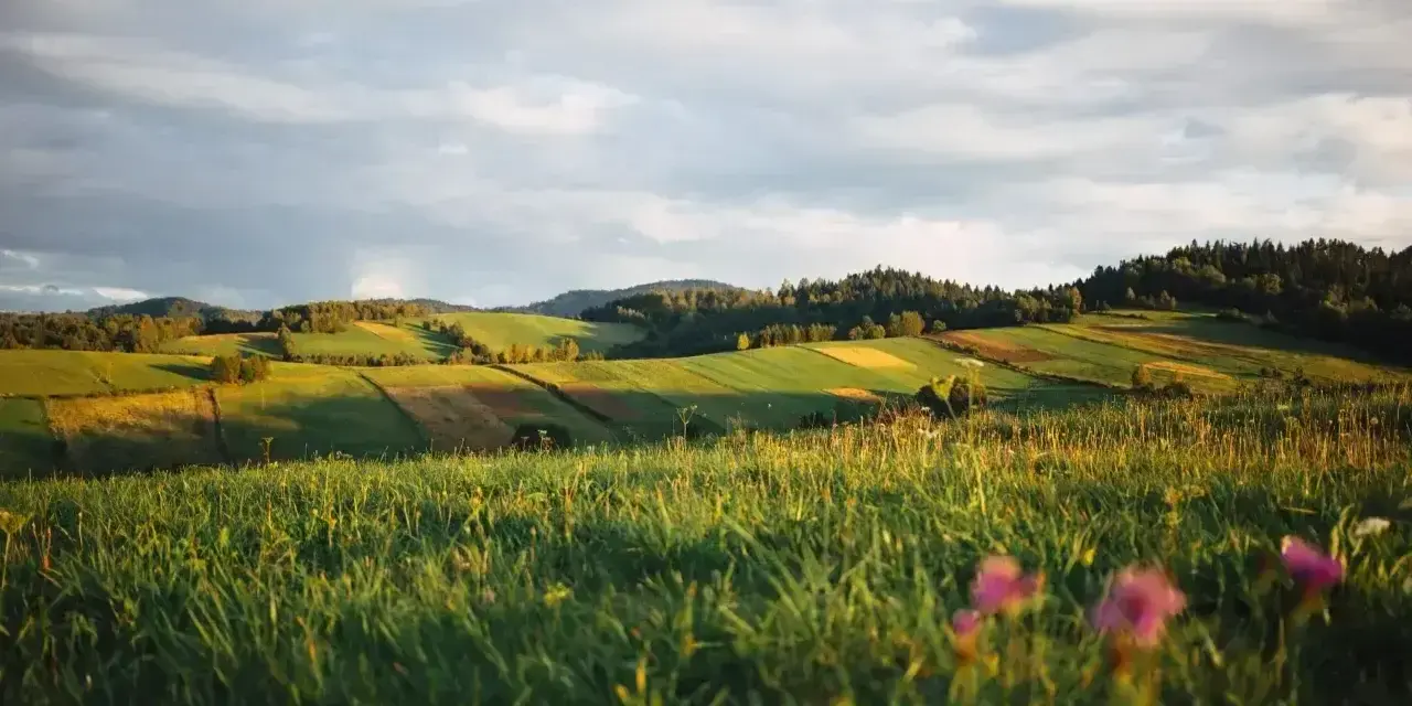 Zielone wzgórza, pola i lasy w słońcu. Idealne miejsce, by zastanowić się, gdzie najbliżej w góry z łodzi.