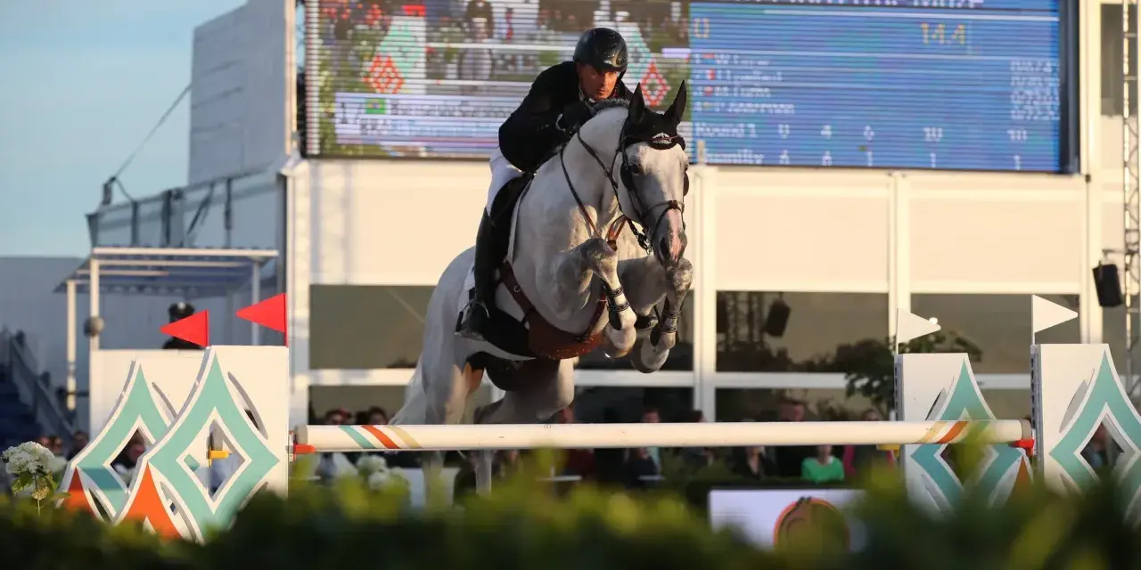 Un cavalier et son cheval gris, levis de muze, franchissent un obstacle lors d'une compétition d'équitation.