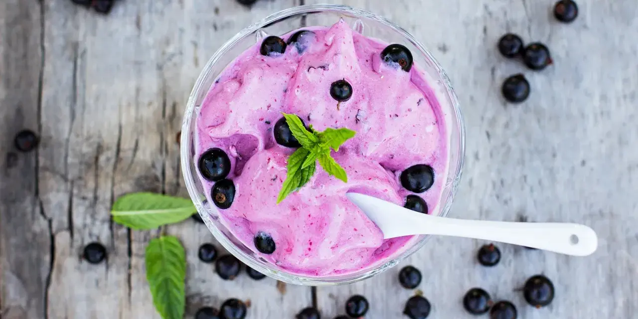 Ein Schälchen mit cremigem Johannisbeer Eis, garniert mit frischer Minze und ganzen Beeren.
