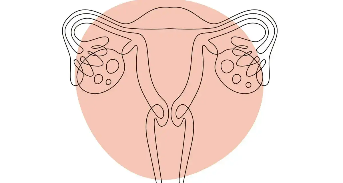 Ilustracja przedstawia kobiece narządy rozrodcze. Zwraca uwagę na problem atrofii pochwy, która może wpływać na zdrowie kobiet.