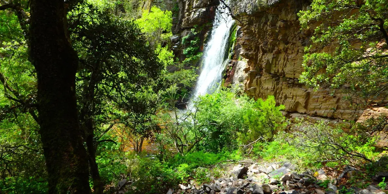 Cascada en la sierra de Ayllón, rodeada de vegetación frondosa y rocas. El agua cae por un acantilado rocoso, creando un paisaje natural impresionante.