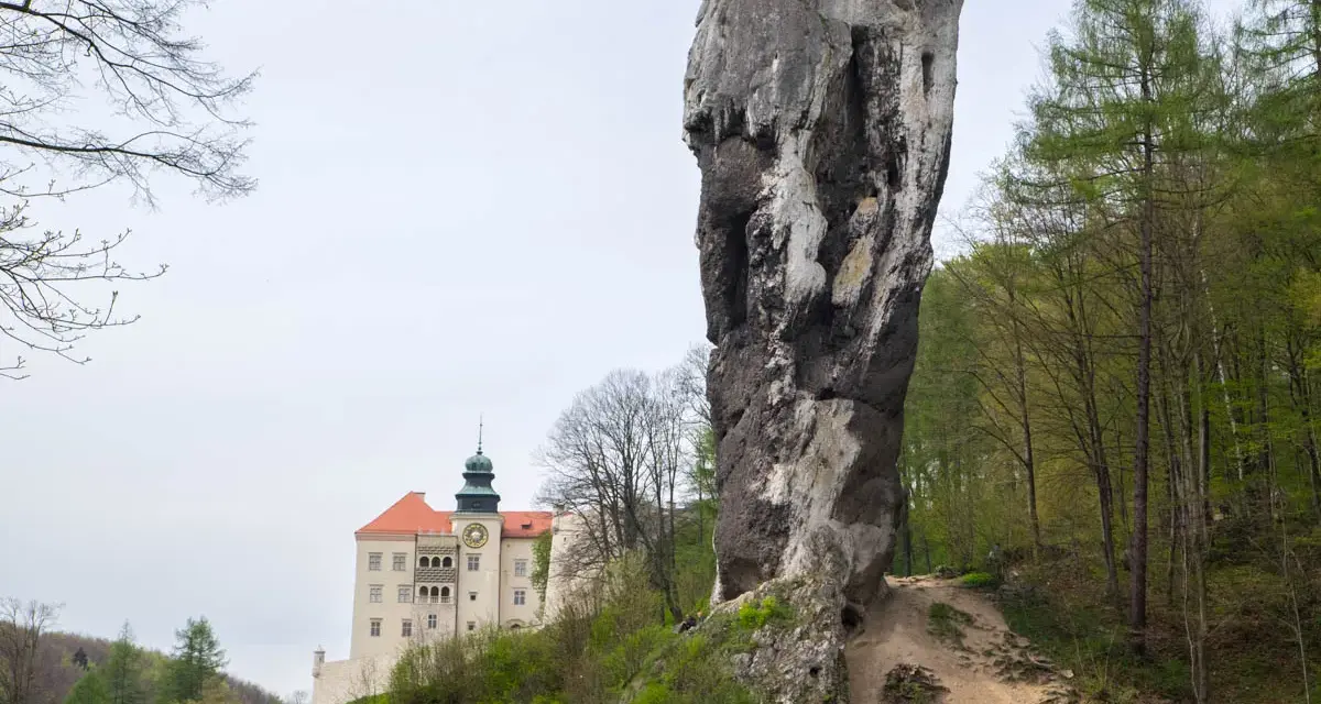 Imponujący skalny grzyb obok zamku na Jurze Krakowsko-Częstochowskiej.