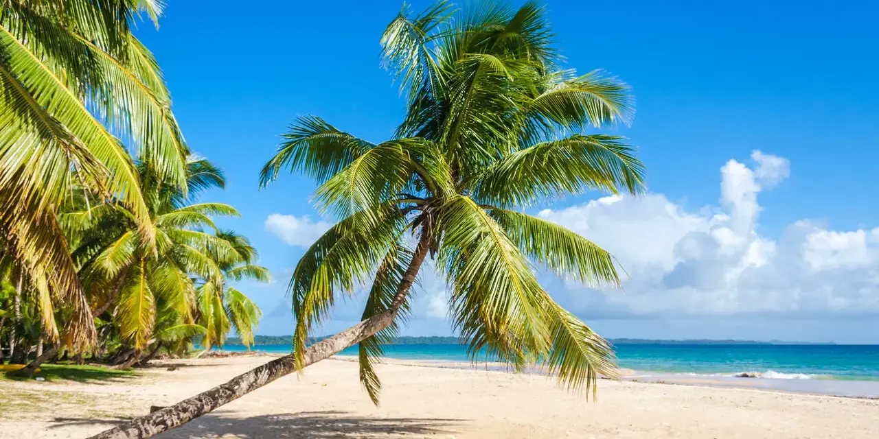 Idealna pogoda na Madagaskarze: piaszczysta plaża, palmy i błękitne niebo.