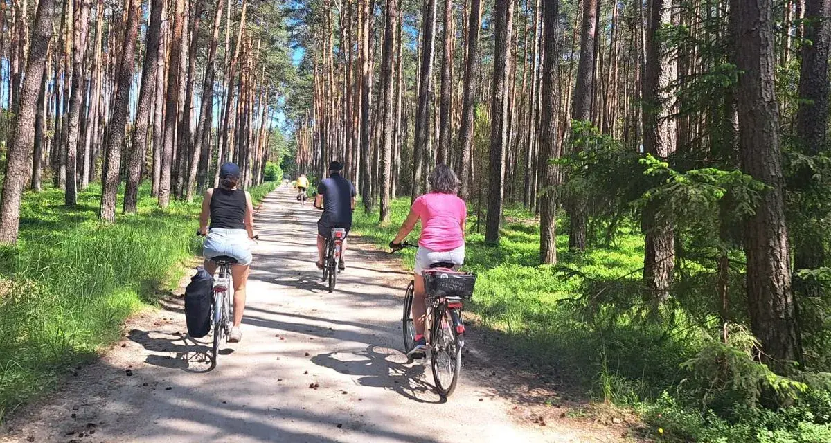 Rodzina na rowerach przemierza leśną ścieżkę. Słońce przebija się przez drzewa, tworząc cień. To idealne miejsce na **velo tatry** i aktywne spędzanie czasu.
