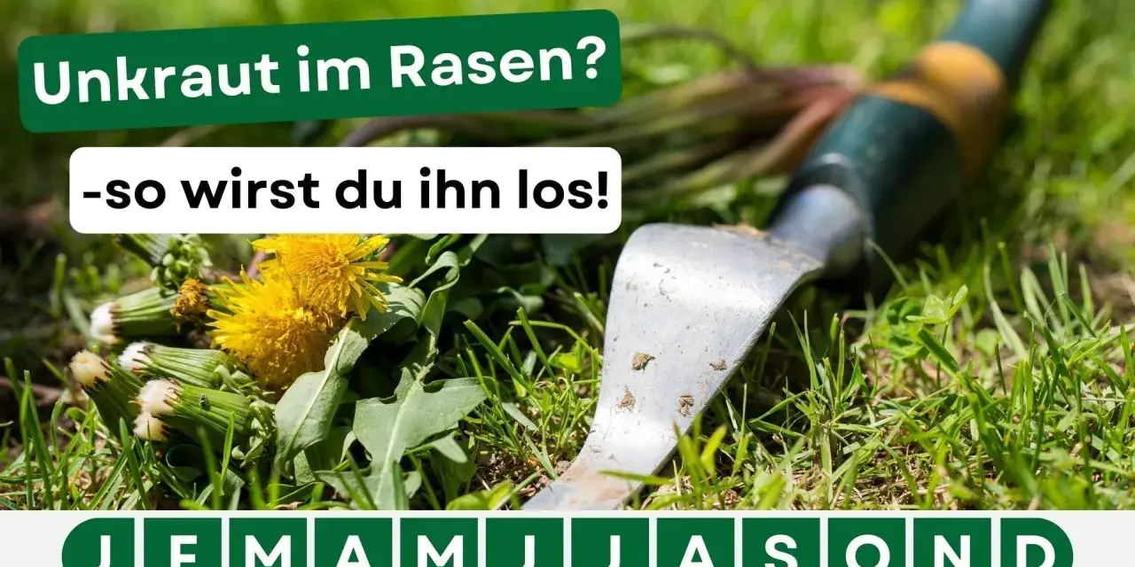 Gras mit Löwenzahn und einem Unkrautstecher. Der Text lautet: "Unkraut im Rasen? -so wirst du ihn los!".