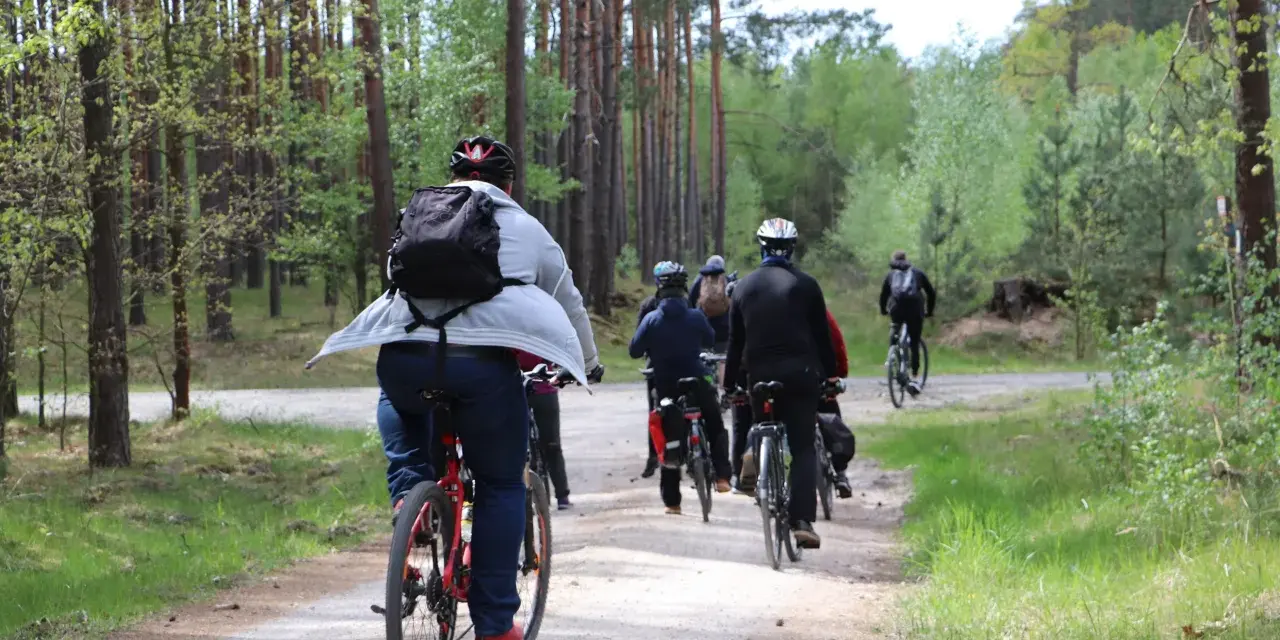 Grupa rowerzystów w lesie. Słońce przebija się przez drzewa, a ścieżka jest piaszczysta. To świetny sposób na spalenie puste kalorie i cieszenie się naturą.