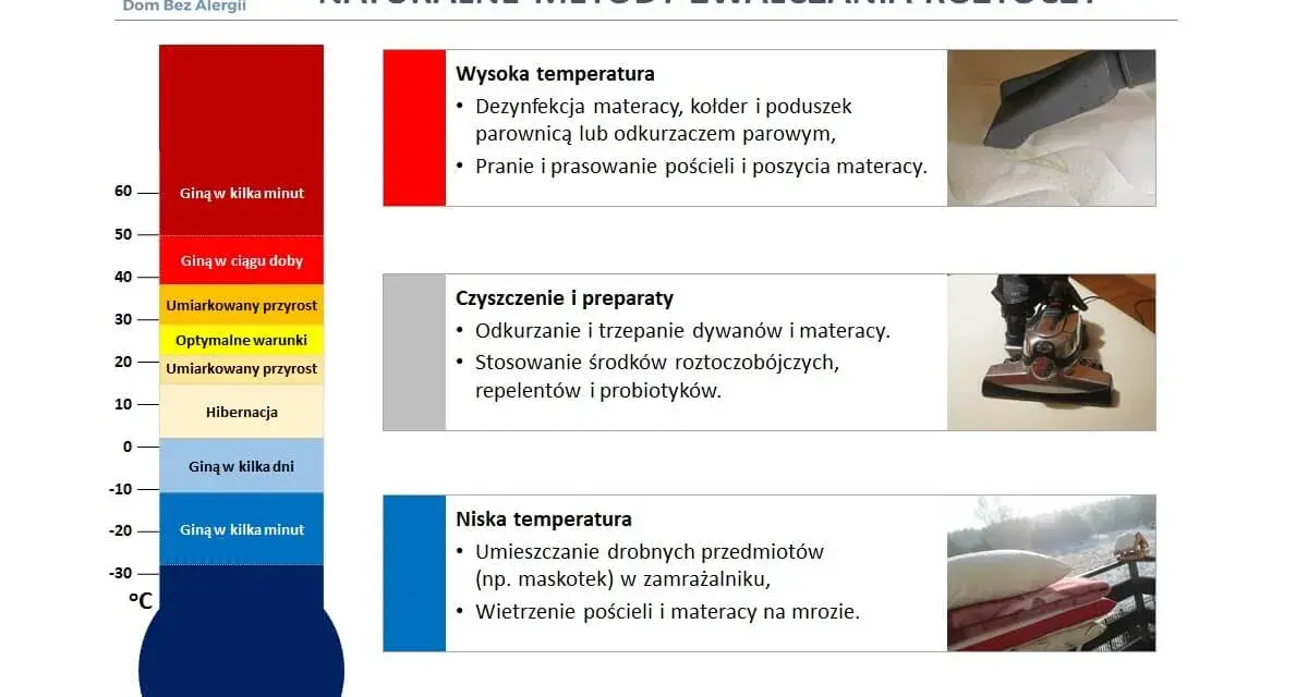 Enterokoki giną w temperaturze poniżej -20°C, co pokazuje wykres. Niska temperatura, nawet -20°C, zabija je w kilka minut.