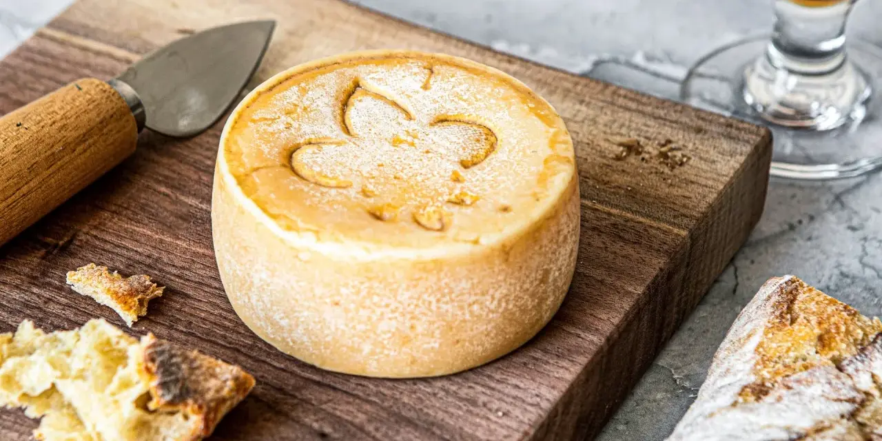 Un fromage rond, marqué d'une fleur de lys, prêt à être dégusté. Une invitation à découvrir comment faire du fromage.