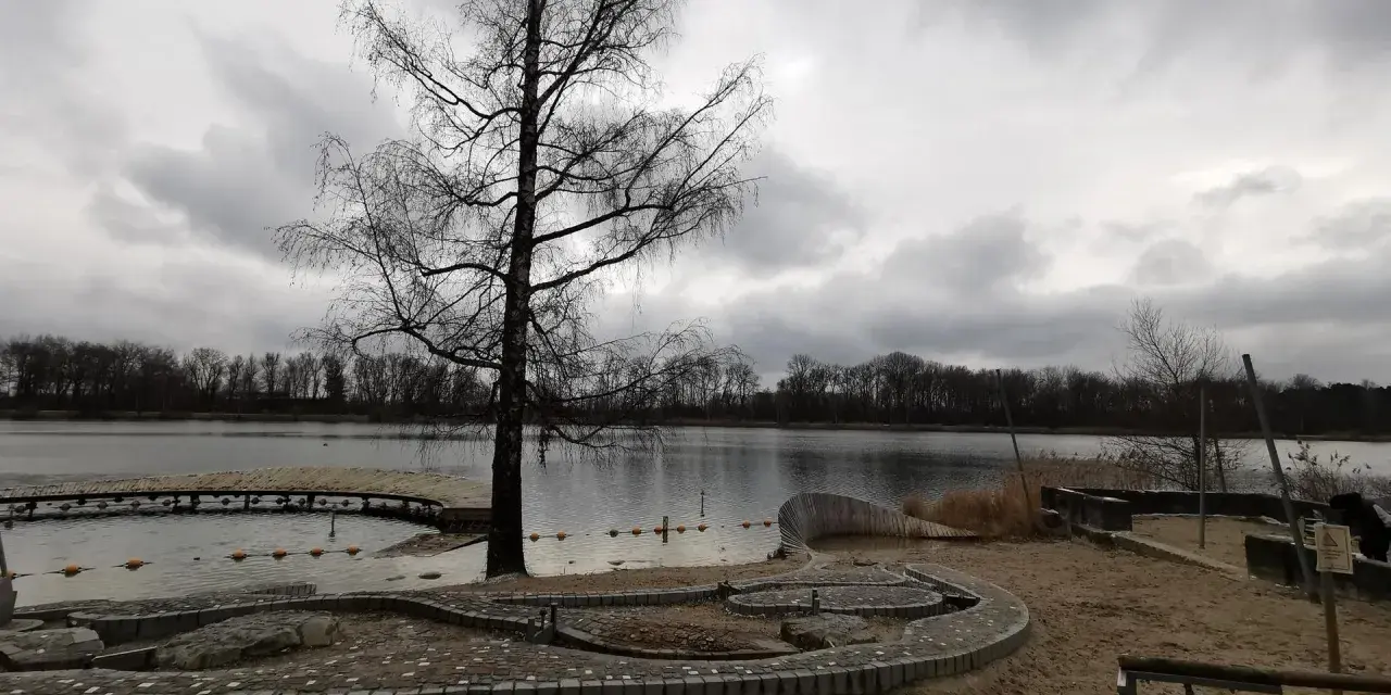 Ein kahler Baum am Ufer des Baggersees Grenis. Eine Holzplattform ragt ins Wasser, das von einer Bojenkette begrenzt wird. Sandiger Strand mit steinernen Sitzgelegenheiten.