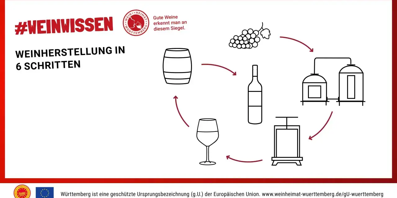 Illustration zeigt die **Weinherstellung Schritte**: Trauben, Presse, Flasche, Fass und Tanks.