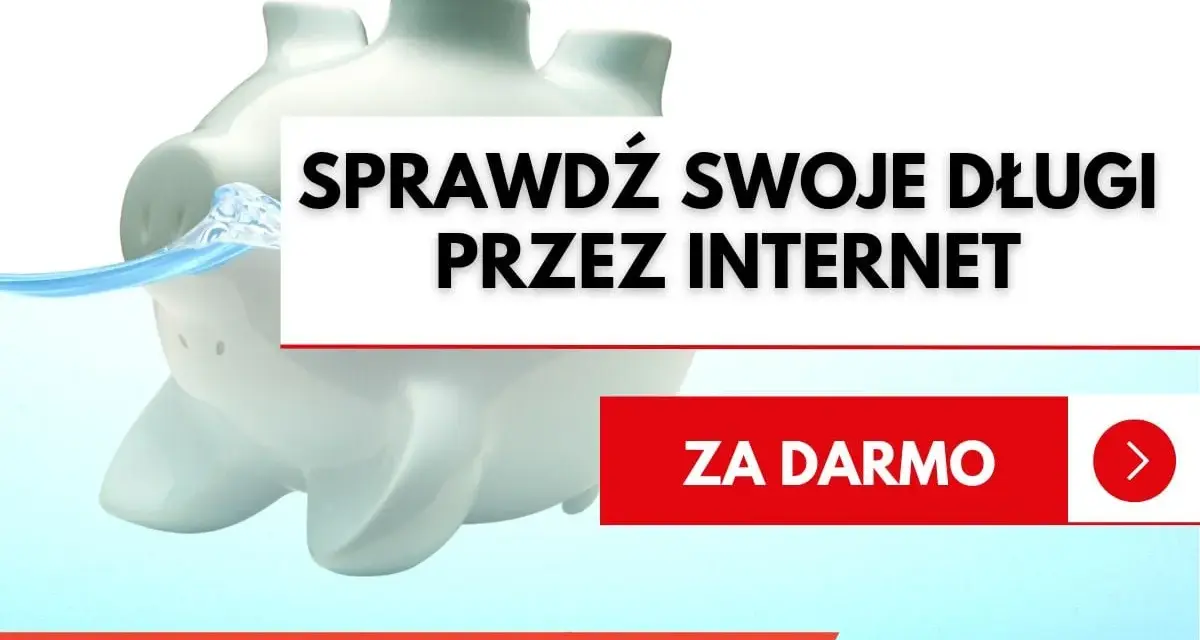 Świnka skarbonka tonie w wodzie. Napis: "Sprawdź swoje długi przez internet". Dowiedz się, jak sprawdzić czy ktoś ma komornika.