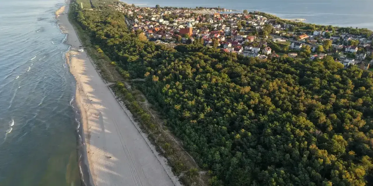 Piękna plaża i las nad morzem, idealne miejsce na wyjazd na majówkę.