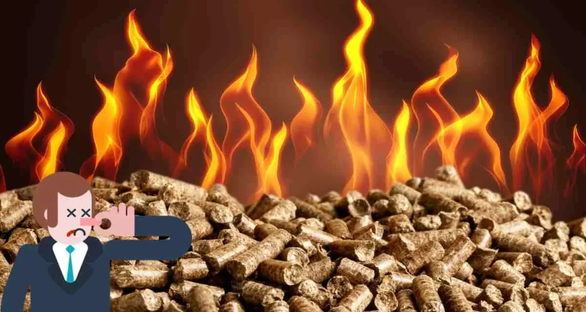 Uomo con naso tappato su mucchio di pellet, fiamme sullo sfondo. La stufa pellet puzza da spenta.