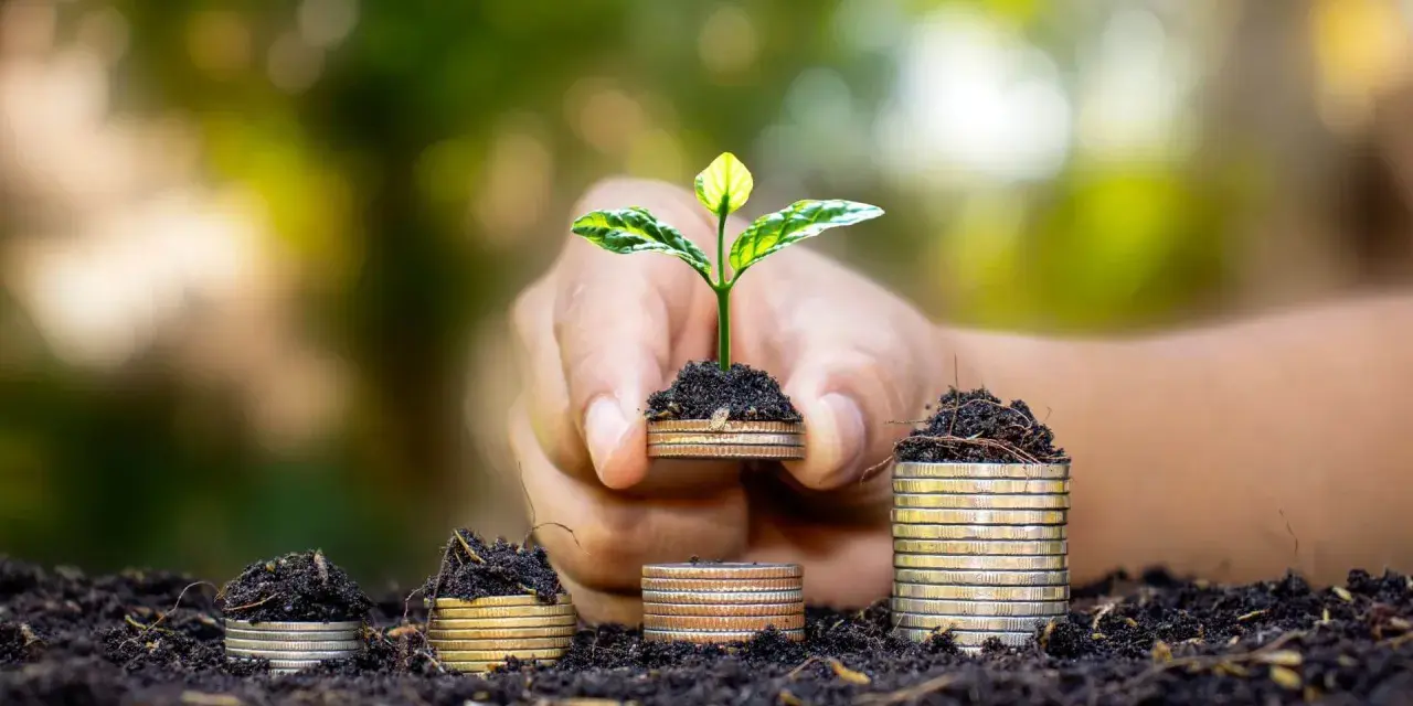 Una mano sostiene una planta joven brotando de monedas apiladas, simbolizando el crecimiento y la inversión en hostelería sostenible.