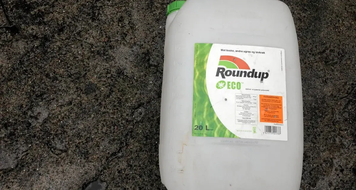 En stor vit dunk med etikett för Roundup ECO, ett glyfosatbaserat ogräsmedel.