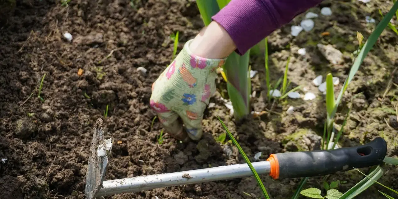 Mano guantata che lavora la terra con una zappa, pronta a sarchiare il terreno per far crescere le piante.