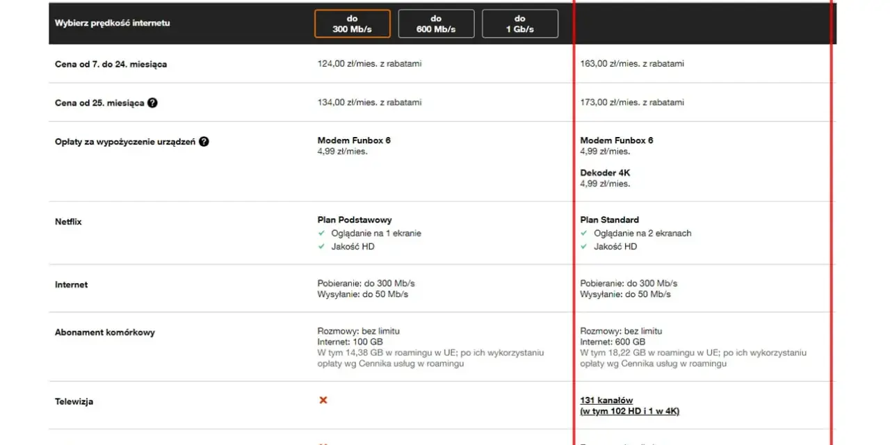 Love Mini z Netflix za 95 zł/mies. z rabatem, idealny dla miłośników seriali.