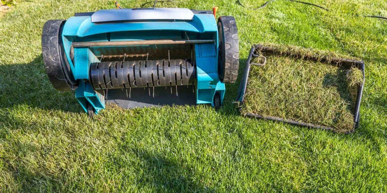 Rasenpflege: Vertikutierer mit Fangkorb voller Moos und Gras. Ob vor oder nach dem **rasen kalken**, das Gerät ist bereit.