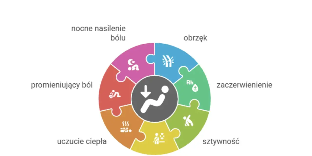 Koło objawów nagłego bólu kolana: obrzęk, zaczerwienienie, sztywność, ograniczony ruch, uczucie ciepła, promieniujący ból, nocne nasilenie bólu.