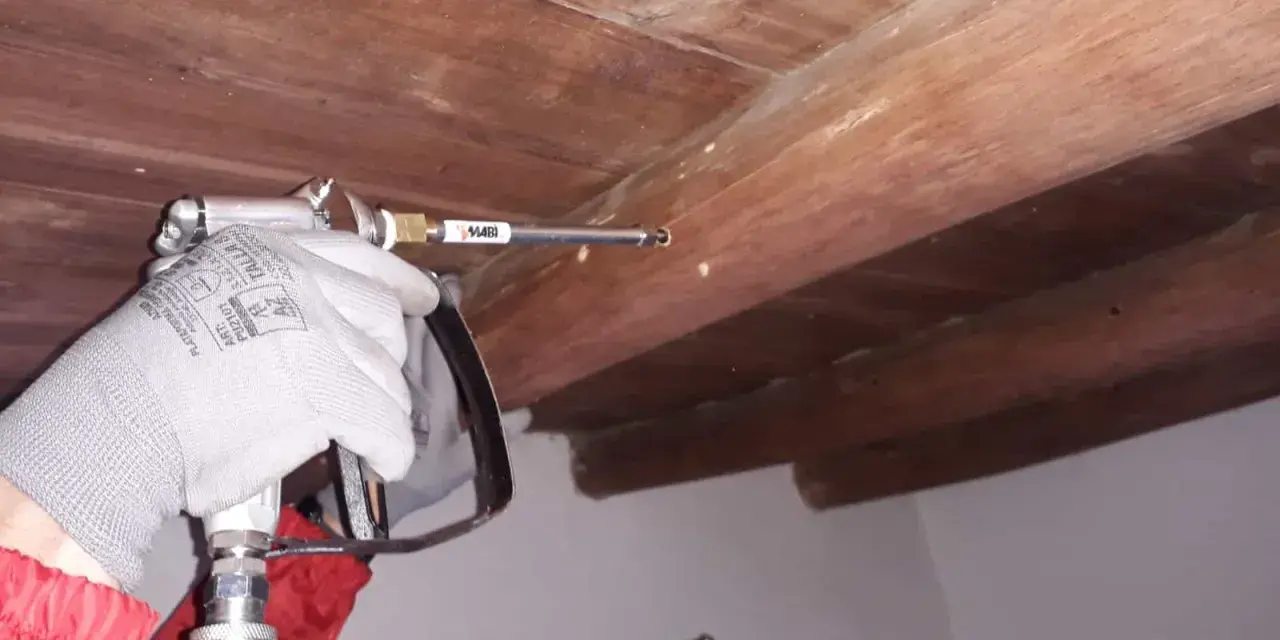 Aplicando ácido bórico para termitas en vigas de madera.