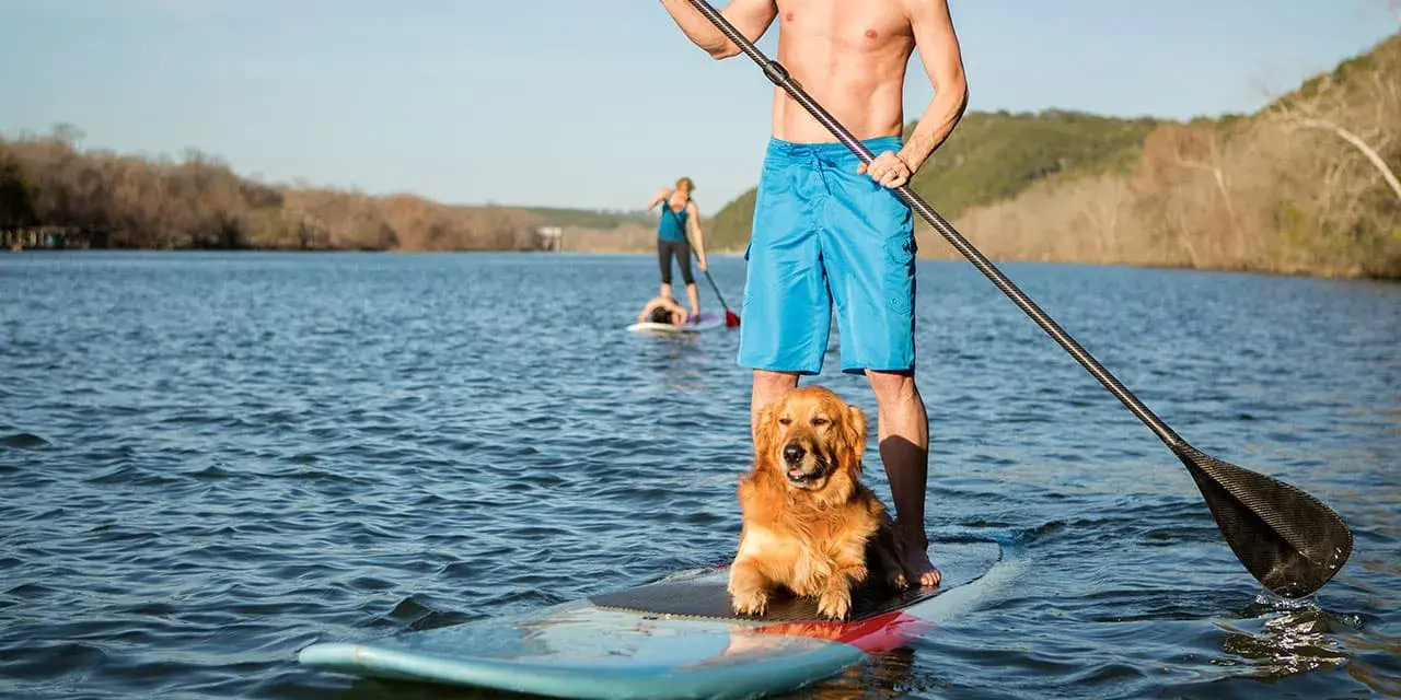 Mann mit sup hund krallen auf dem See. Ein Mann und sein Hund genießen das Stand-Up-Paddling.