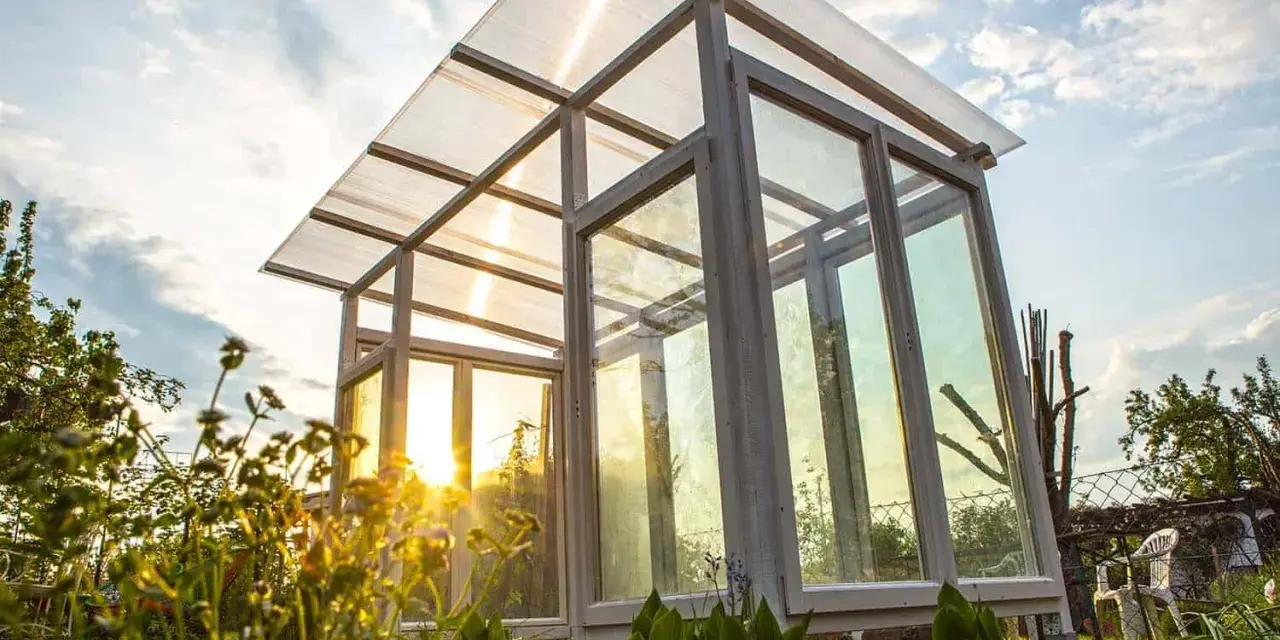 Ein selbstgebautes Tomatenhaus aus Holz und Glas, das im Abendlicht erstrahlt. Perfekt für den Anbau von Tomaten.