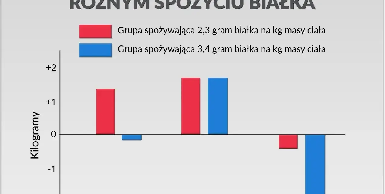 Wykres pokazuje, ile białka dziennie przy treningu wpływa na masę ciała, suchą masę i tkankę tłuszczową. Grupa 2,3g/kg zyskała masę, a grupa 3,4g/kg straciła tkankę tłuszczową.