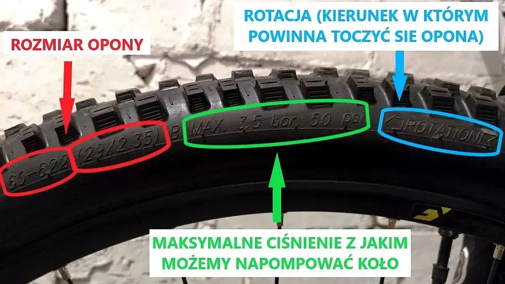 Jak dobrać dętkę do opony? Rozmiar, wentyl, błędy poradnik.