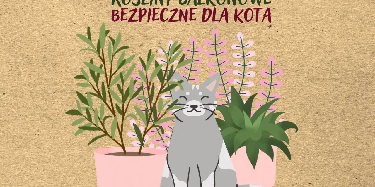 Uśmiechnięty kot siedzi wśród roślin balkonowych bezpiecznych dla kota.