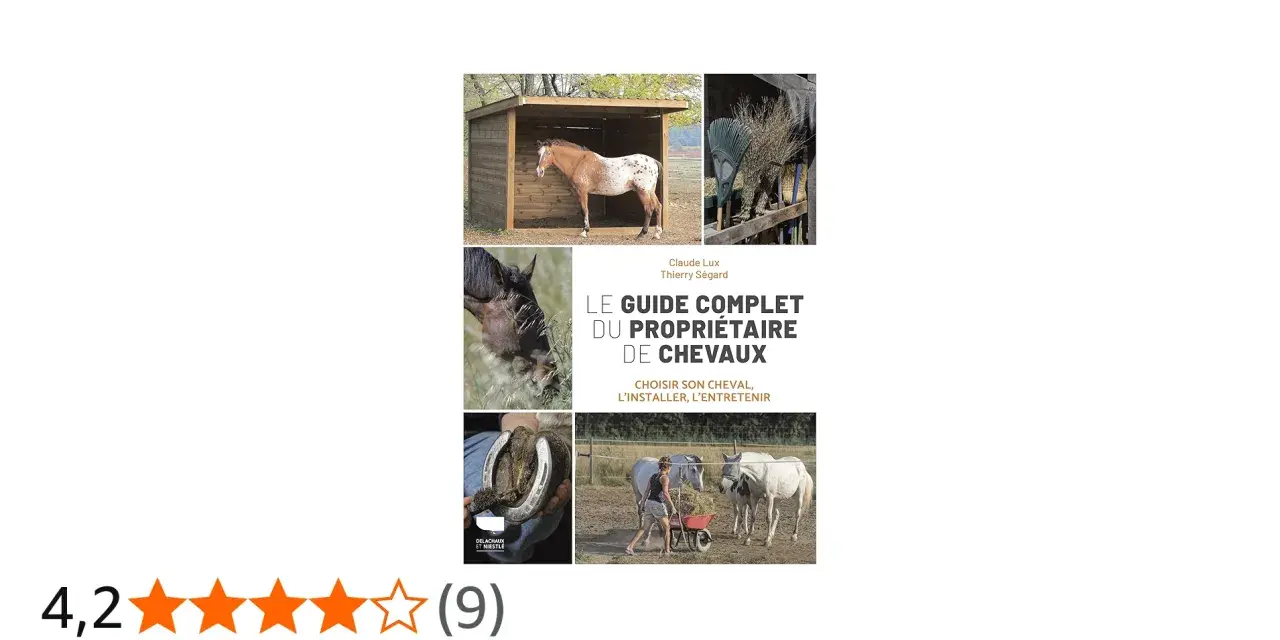 Guide complet pour savoir comment avoir un cheval chez soi : choix, installation et entretien.