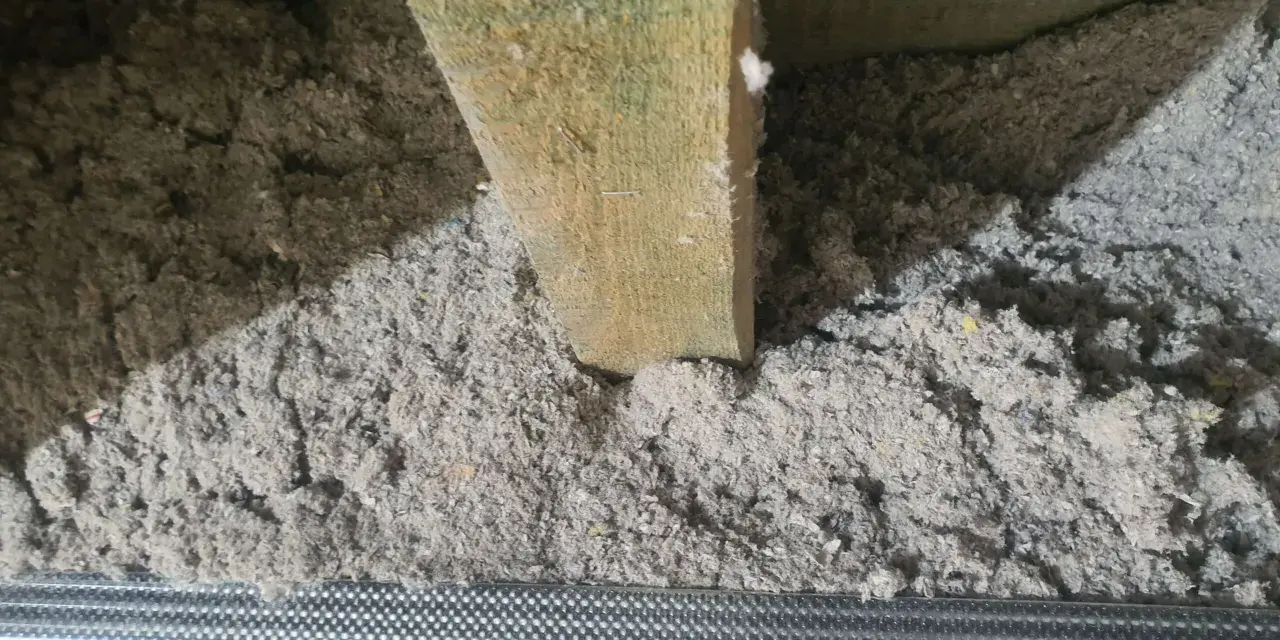 Izolacja z celulozy wypełnia przestrzeń między drewnianymi belkami stropowymi, tworząc warstwę termoizolacyjną.