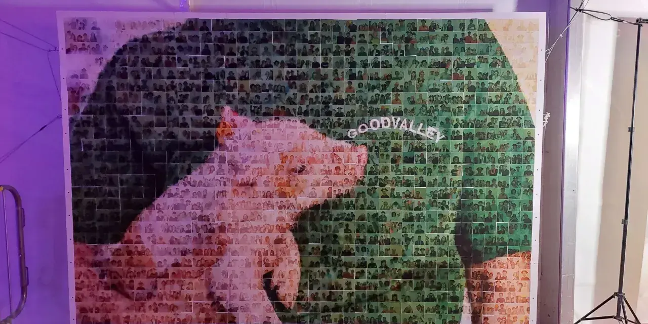 Wielki fotokolaż przedstawiający świnię i napis "GOODVALLEY", stworzony z tysięcy małych zdjęć ludzi.