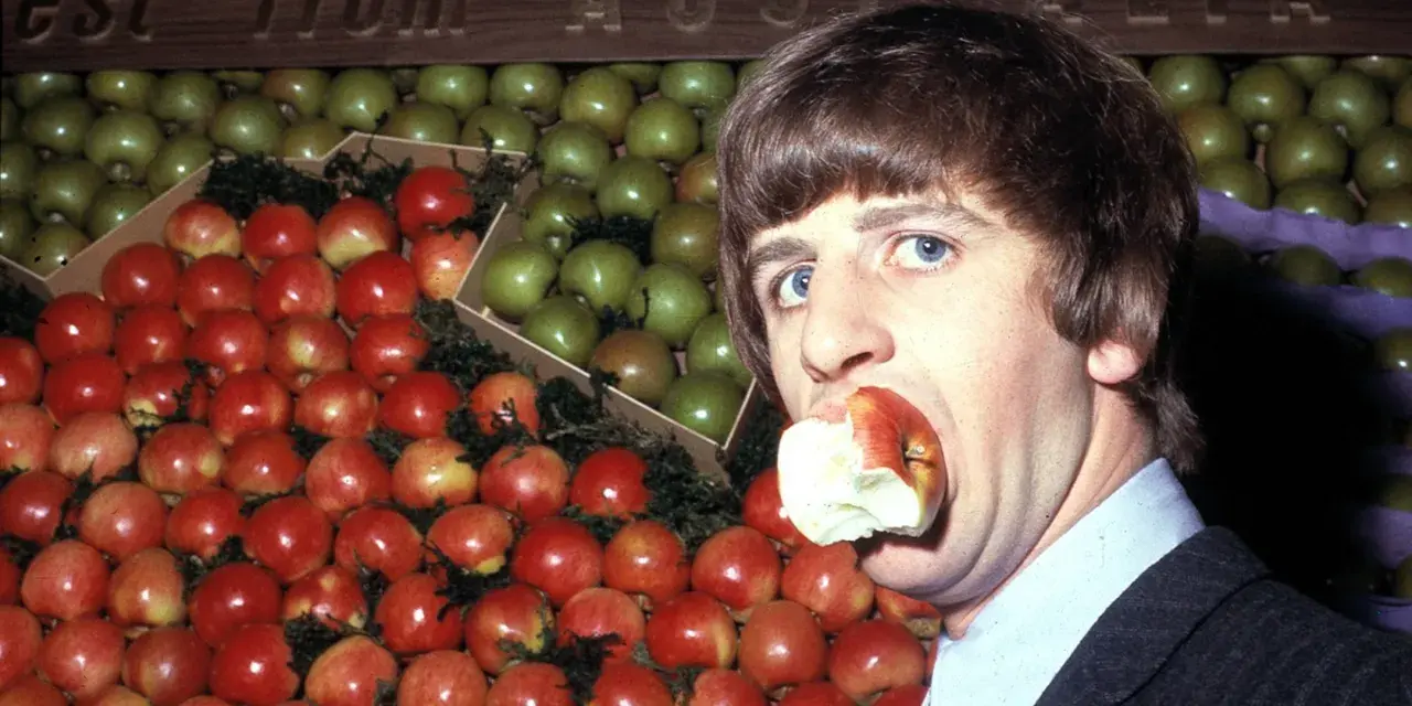 Ringo Starr, perkusista The Beatles, gryzie jabłko na tle stosów czerwonych i zielonych owoców.
