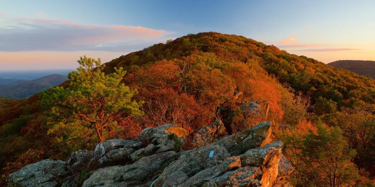 Le Blue Ridge Mountains: guida definitiva per un viaggio indimenticabile