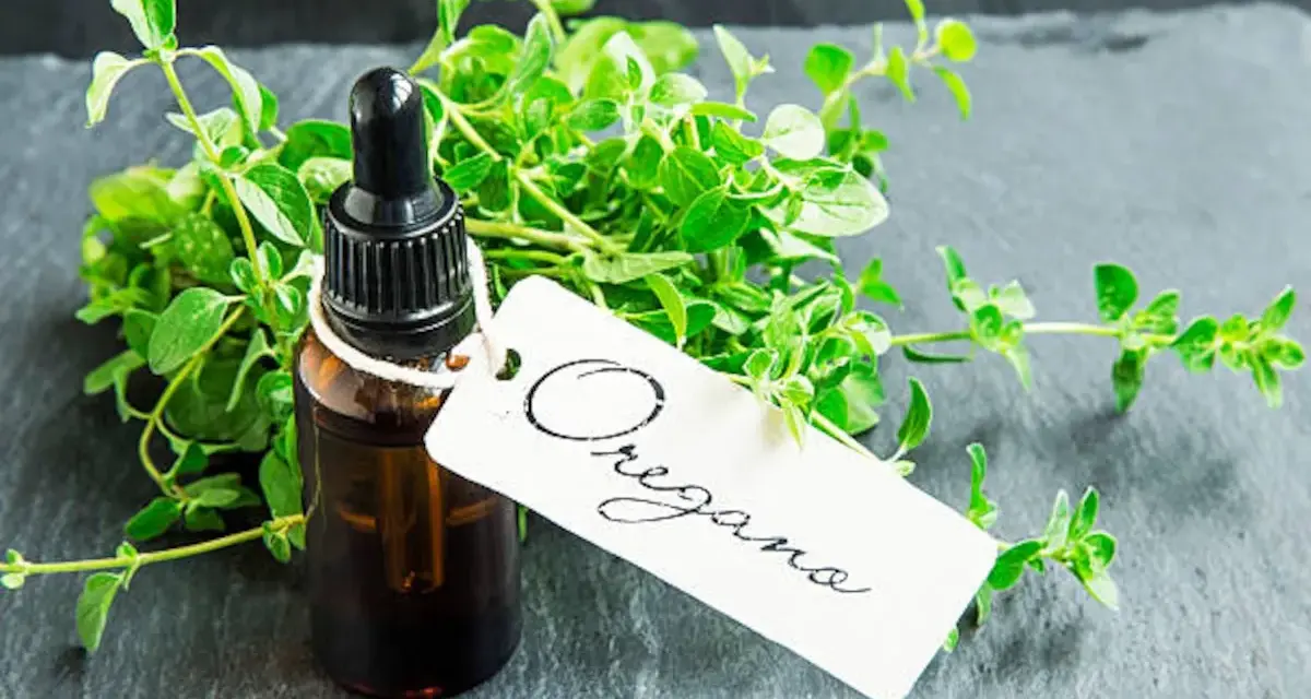Frasco de aceite de orégano con ramitas frescas de la hierba. La etiqueta blanca dice "Oregano".