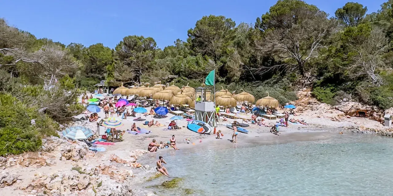 Słoneczna plaża z turkusową wodą, parasolami i ludźmi wypoczywającymi na piasku. To jedno z najpiękniejszych miejsc na Majorce.